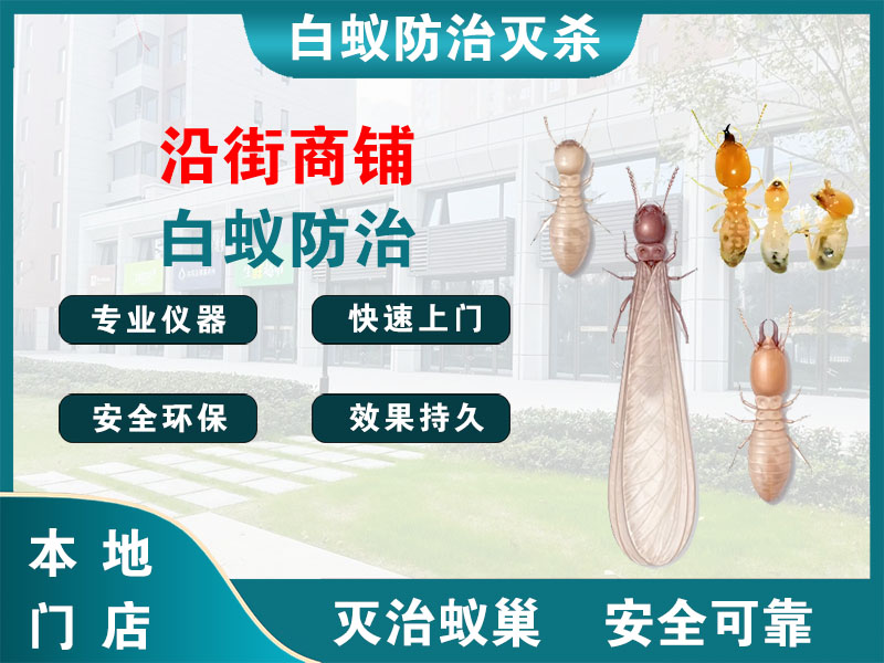 海门沿街商铺白蚁防治