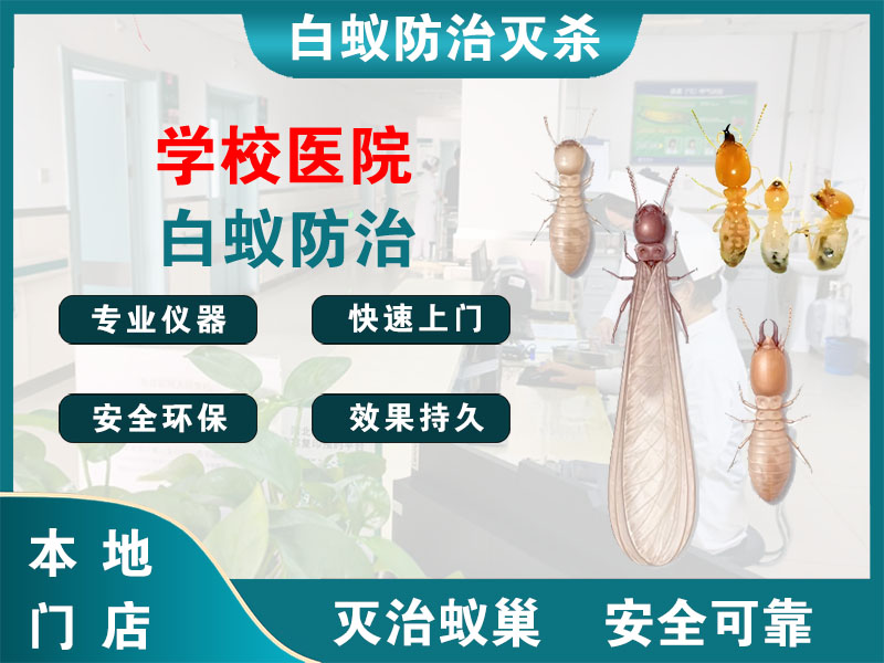 海门学校医院白蚁防治