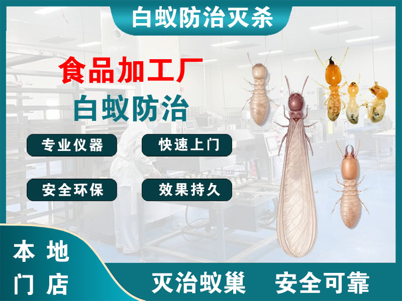 海门食品加工厂白蚁防治
