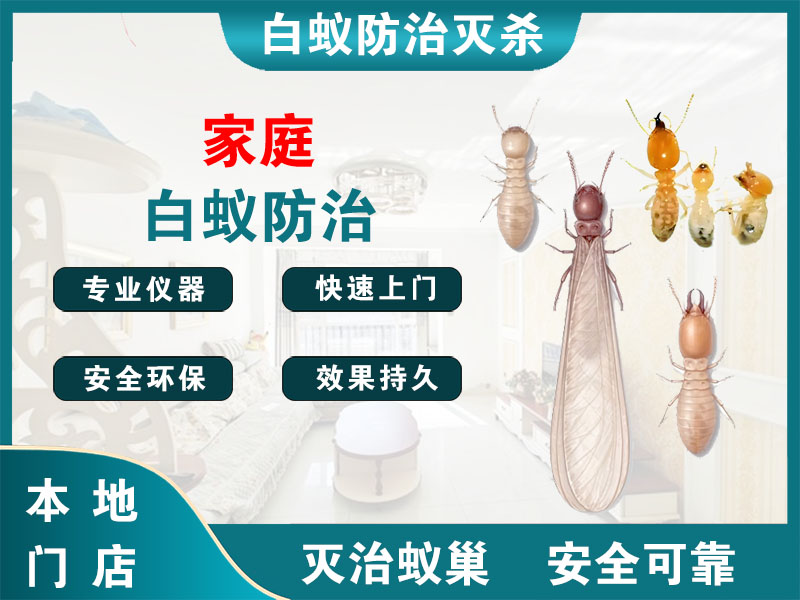 海门家庭白蚁防治
