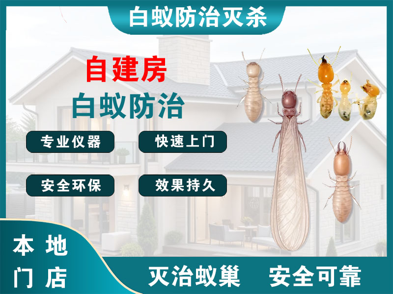 海门自建房白蚁防治