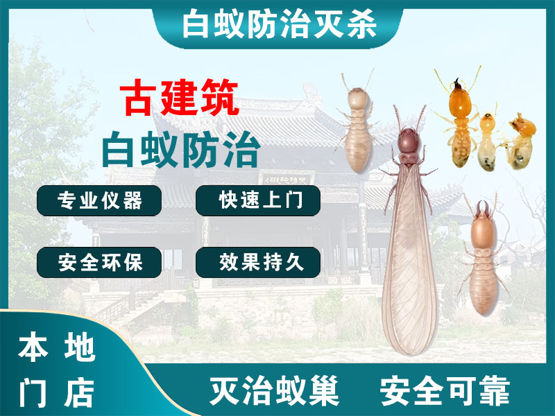 海门古建筑白蚁防治