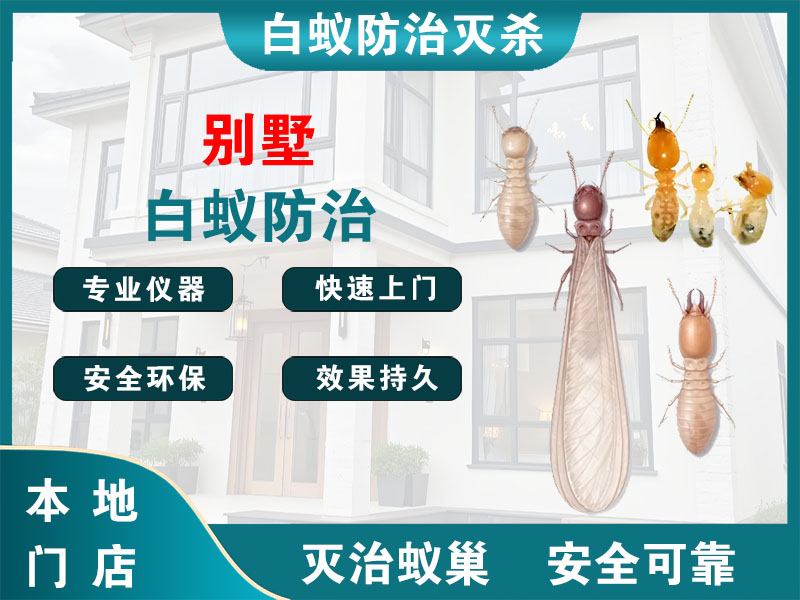 海门别墅白蚁防治