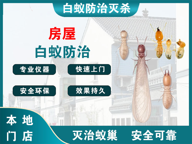 海门房屋白蚁防治